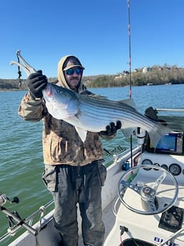 Fishing in Rogers, Arkansas