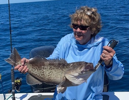 Gag Grouper Fishing in Mount Pleasant, South Carolina