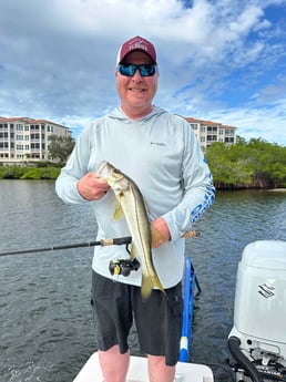 Snook Fishing in Sarasota, Florida