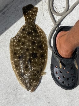 Fishing in Orange Beach, Alabama
