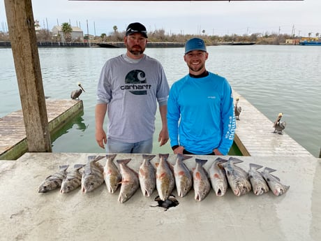 Black Drum, Redfish fishing in Ingleside, Texas