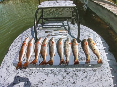 Redfish Fishing in Rio Hondo, Texas