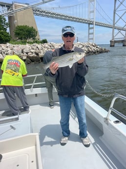 Striped Bass Fishing in