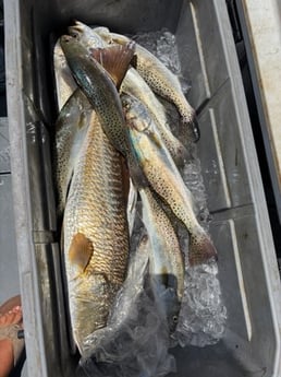 Fishing in Port Aransas, Texas