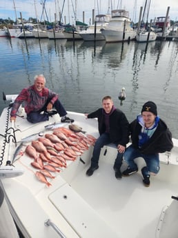 False Albacore, Red Snapper, Vermillion Snapper Fishing in Rockport, Texas
