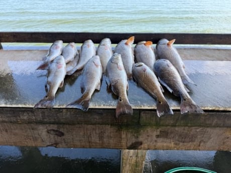 Fishing in Buras, Louisiana