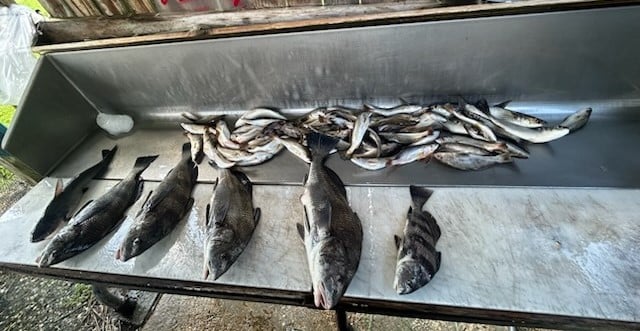 Fishing in Biloxi, Mississippi