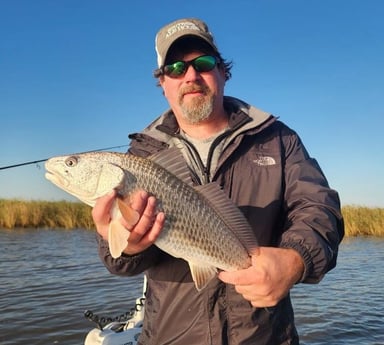 Redfish Fishing in Boothville-Venice, Louisiana