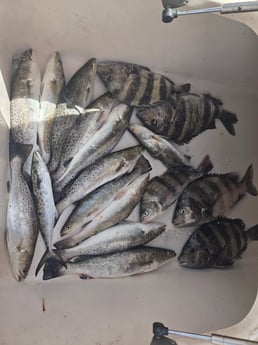 Fishing in Houston, Texas