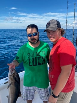 Amberjack fishing in Pensacola, Florida