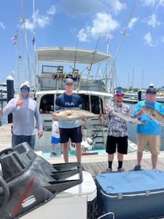 Amberjack, Barracuda Fishing in West Palm Beach, Florida