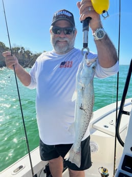 Snook fishing in Fort Myers, Florida