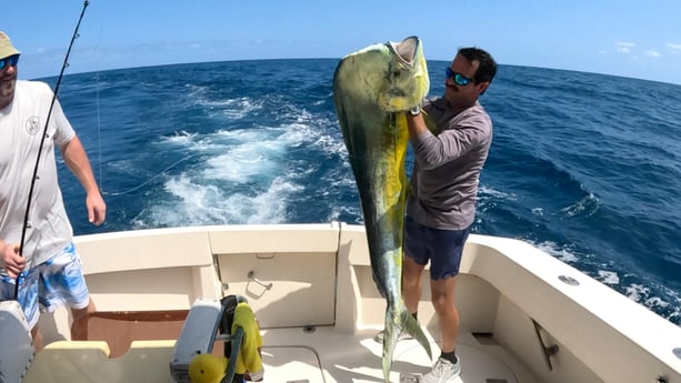 Fishing in San Juan, Puerto Rico