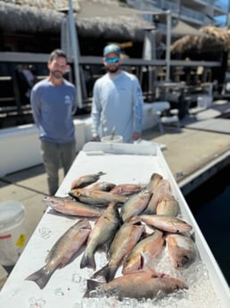 Fishing in Key West, Florida