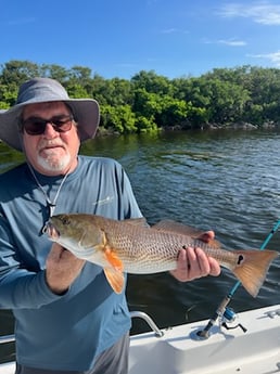 Fishing in Trinity, Florida