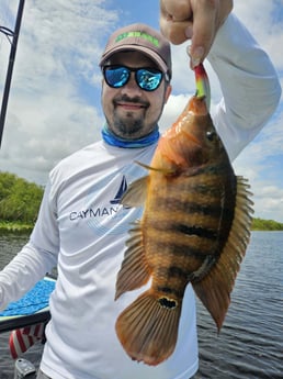 Fishing in Fort Lauderdale, Florida