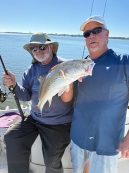 Fishing in D&#039;Iberville, Mississippi