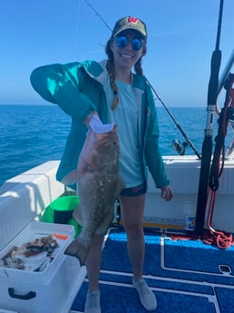 Gag Grouper fishing in Fort Myers Beach, Florida