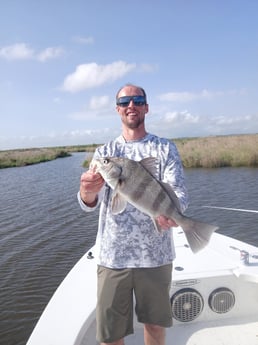 Black Drum Fishing in