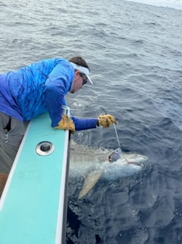 Fishing in Miami Beach, Florida