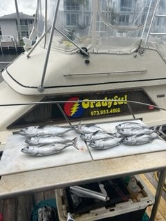 Blackfin Tuna Fishing in Pompano Beach, Florida