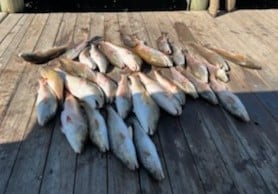 Redfish Fishing in Port O'Connor, Texas