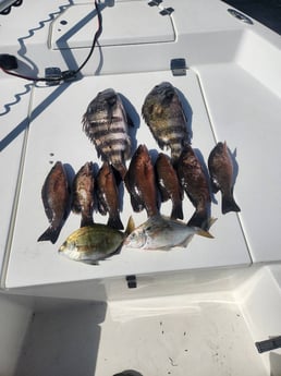 Fishing in Pensacola, Florida