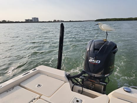 Boat photo for Inshore Fishing Trip AM