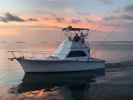 Boat photo for Offshore Fishing,Reef & Wreck and Sunset