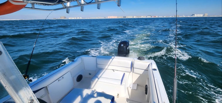 Boat photo for 4-8hr Offshore Fishing - 24’ CC