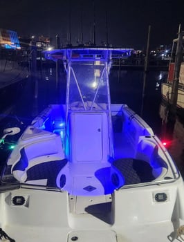 Boat photo for 4-8hr Offshore Fishing - 24’ CC