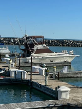 Boat photo for Lake Michigan 6 Hour Trip