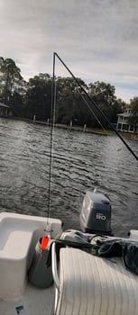 Boat photo for Destin / PCB Fishing Adventure