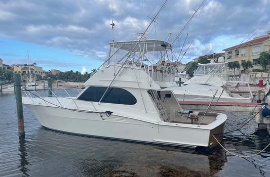 Boat photo for 50' Offshore Fishing Cap Cana DR