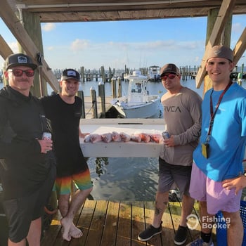 Boat photo for Orange Beach Hook up!