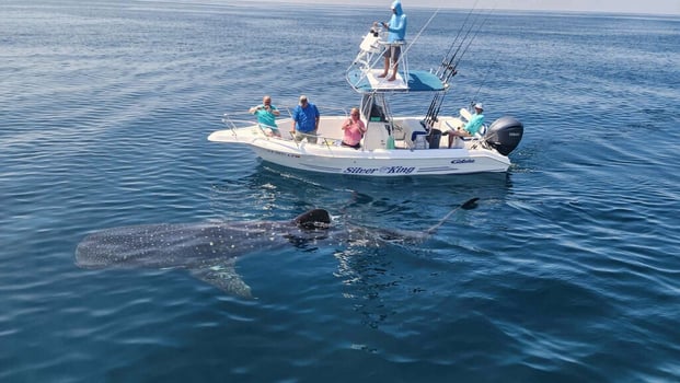 Boat photo for Destin Bottom Fishing and Trolling!