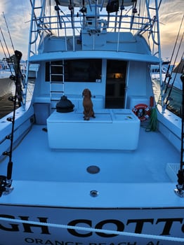 Boat photo for 6-Hour Bottom/Trolling - 55' Gillman