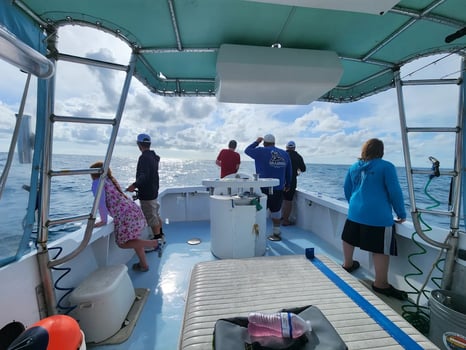 Boat photo for Marathon Key Nearshore Run