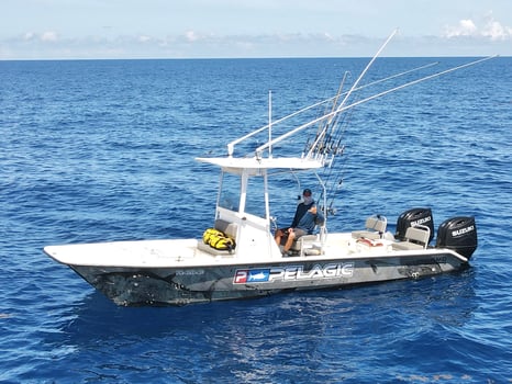 Boat photo for Extreme Reef Trip - 26' Twin Vee