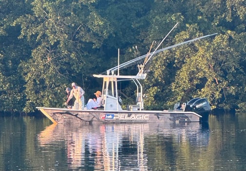 Boat photo for Extreme Reef Trip - 26' Twin Vee