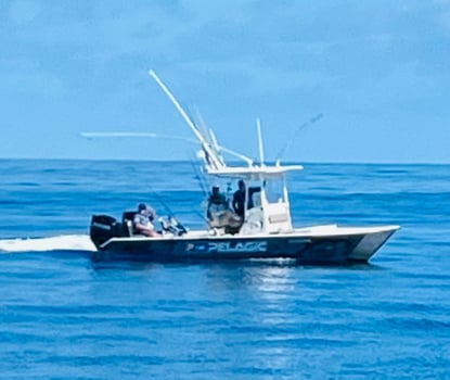 Boat photo for Extreme Reef Trip - 26' Twin Vee