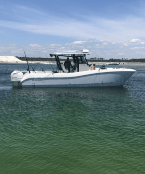 Boat photo for Snapper Trip - 33' World Cat