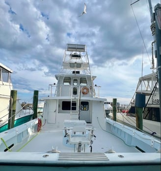 Boat photo for SPRING Private Deep Sea Fishing 64'