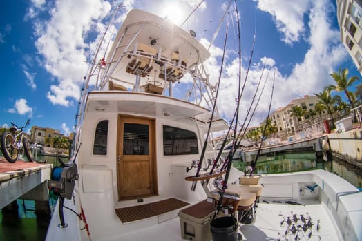 Boat photo for Punta Cana Luxury Trip Pelagic 3/4 day