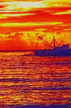 Boat photo for Beachcombing with Captain Will