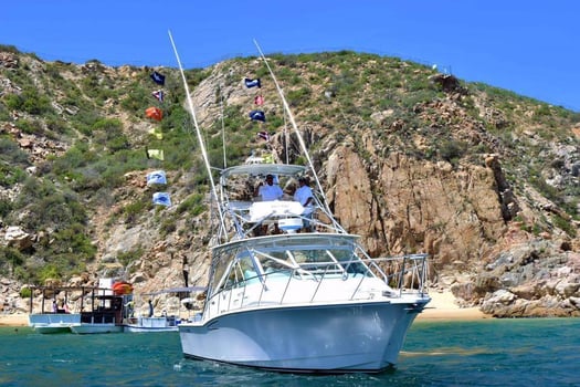 Boat photo for Deep Sea Cabo - 36' Cabo Express