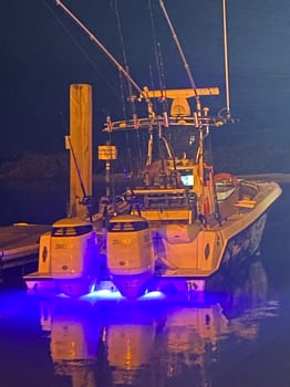 Boat photo for 4hr Jetties and Near Shore Reefs Run