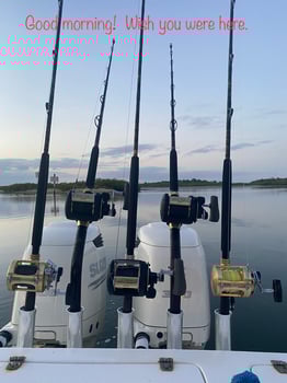Boat photo for 4hr Jetties and Near Shore Reefs Run