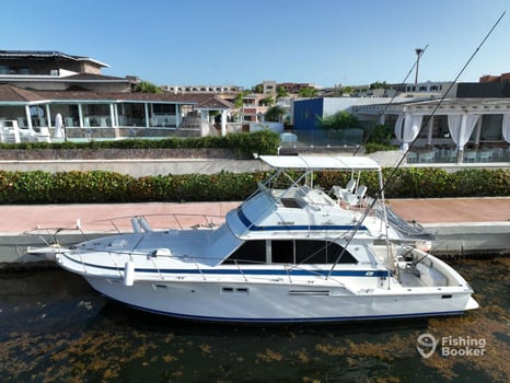 Boat photo for Deep Sea Fishing - 40' Vixen