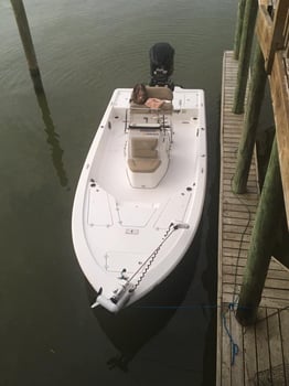 Boat photo for Clear Lake Redfish Rodeo